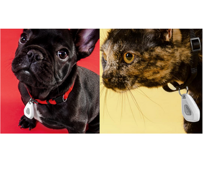 Mitey Tick Off For Pets Electronic Tick Repeller Tristar Online