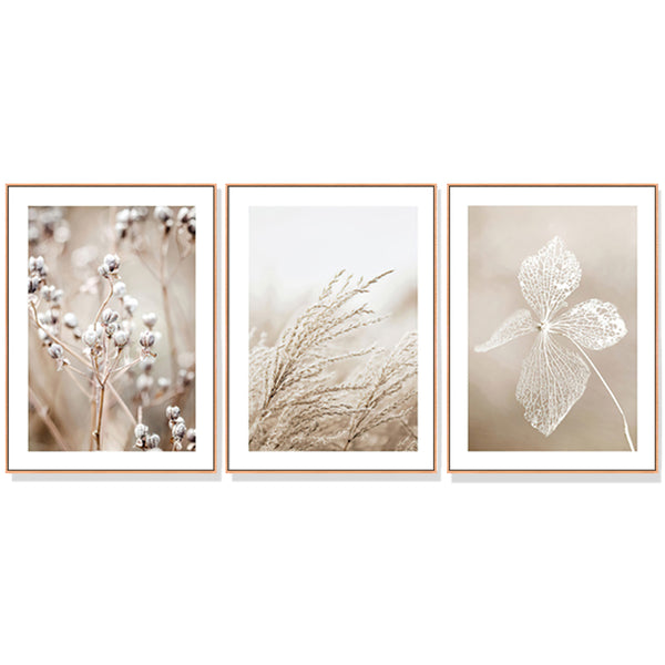 40cmx60cm Dried Flower 3 Sets Wood Frame Canvas Wall Art Tristar Online