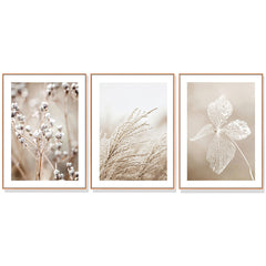 40cmx60cm Dried Flower 3 Sets Wood Frame Canvas Wall Art Tristar Online