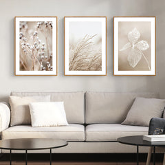 40cmx60cm Dried Flower 3 Sets Wood Frame Canvas Wall Art Tristar Online