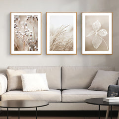 60cmx90cm Dried Flower 3 Sets Wood Frame Canvas Wall Art Tristar Online