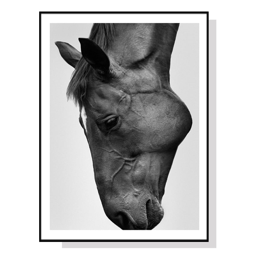 50cmx70cm Modern Black Horse Black Frame Canvas Wall Art Tristar Online