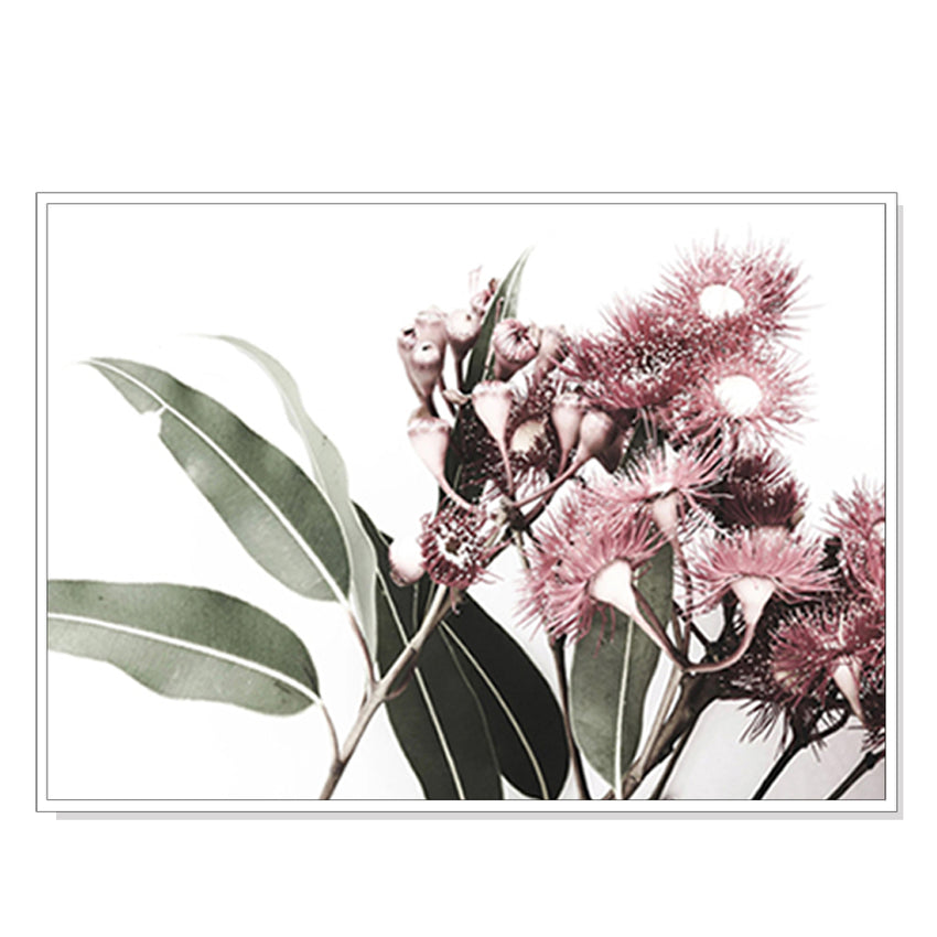 50cmx70cm Eucalyptus in Bloom White Frame Canvas Wall Art Tristar Online