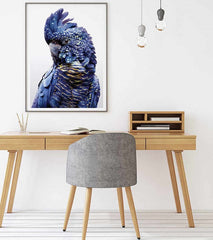 60cmx90cm Black Cockatoo A Black Frame Canvas Wall Art Tristar Online