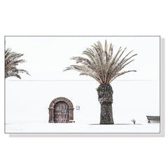 70cmx100cm European Palm Tree White Frame Canvas Wall Art Tristar Online