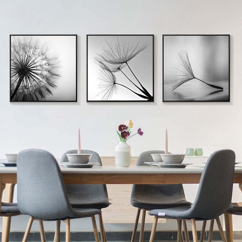 50cmx50cm Botanical dandelions 3 Sets Black Frame Canvas Wall Art Tristar Online