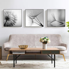 50cmx50cm Botanical dandelions 3 Sets Black Frame Canvas Wall Art Tristar Online