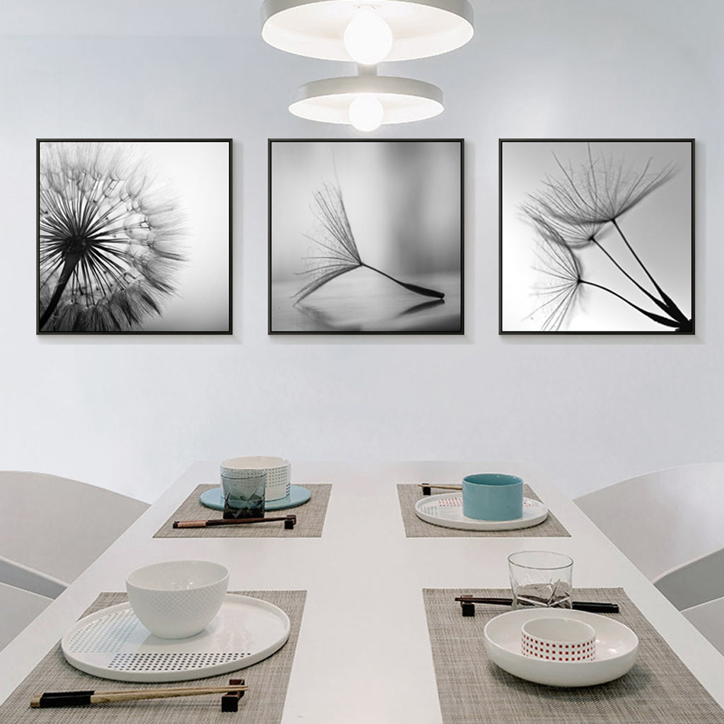 50cmx50cm Botanical dandelions 3 Sets Black Frame Canvas Wall Art Tristar Online