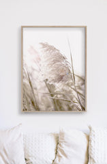 50cmx70cm Pampas Grass 2 Sets Wood Frame Canvas Wall Art Tristar Online