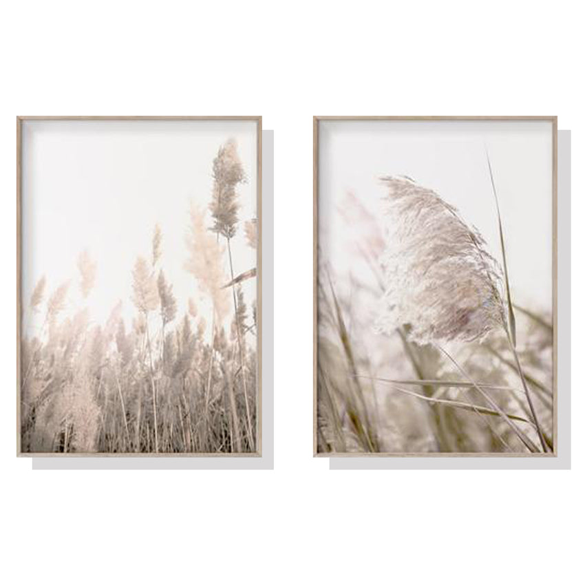 50cmx70cm Pampas Grass 2 Sets Wood Frame Canvas Wall Art Tristar Online