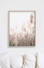 60cmx90cm Pampas Grass 2 Sets Wood Frame Canvas Wall Art Tristar Online