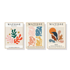50cmx70cm Matisse Wall Art 3 Sets Wood Frame Canvas Tristar Online