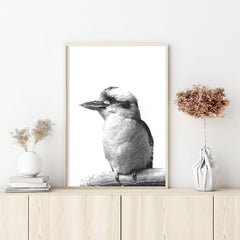 Wall Art 40cmx60cm Kookaburra Black Frame Canvas Tristar Online