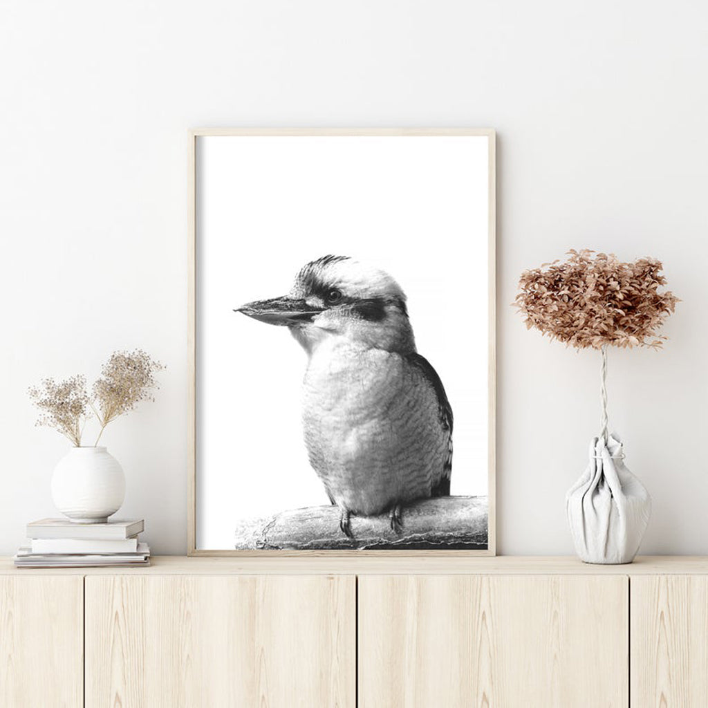 Wall Art 80cmx120cm Kookaburra Black Frame Canvas Tristar Online