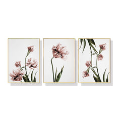 60cmx90cm Tulip Flower 3 Sets Gold Frame Canvas Wall Art Tristar Online