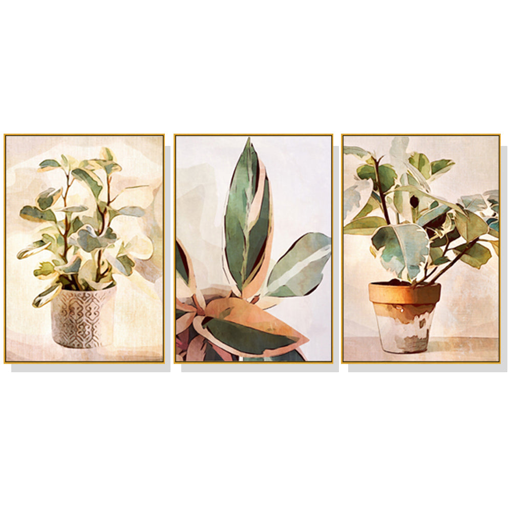 50cmx70cm Botanical Leaves Watercolor Style 3 Sets Gold Frame Canvas Wall Art Tristar Online