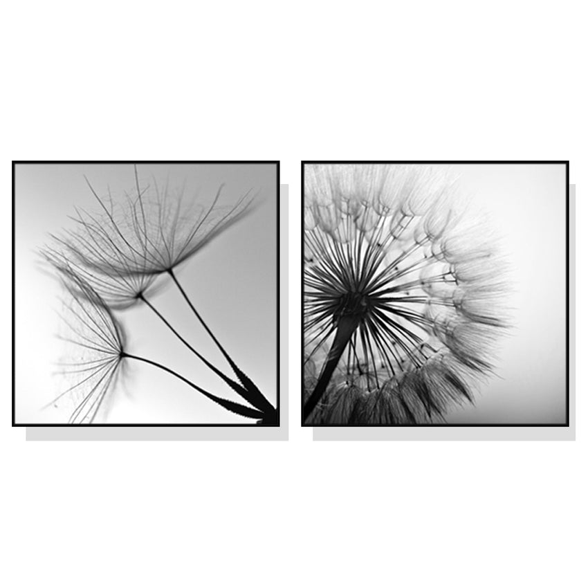 50cmx50cm Black and white dandelion 2 Sets Black Frame Canvas Wall Art Tristar Online