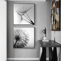 50cmx50cm Black and white dandelion 2 Sets Black Frame Canvas Wall Art Tristar Online