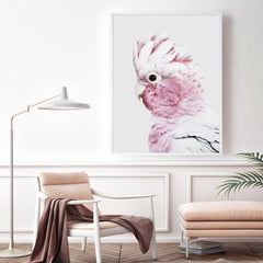 50cmx70cm Pink Galah White Frame Canvas Wall Art Tristar Online