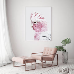 50cmx70cm Pink Galah White Frame Canvas Wall Art Tristar Online