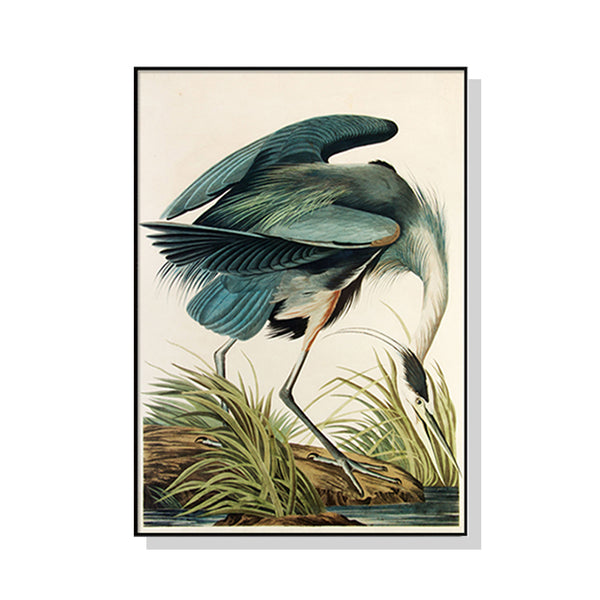 50cmx70cm Great Blue Heron By John James Audubon Black Frame Canvas Wall Art Tristar Online