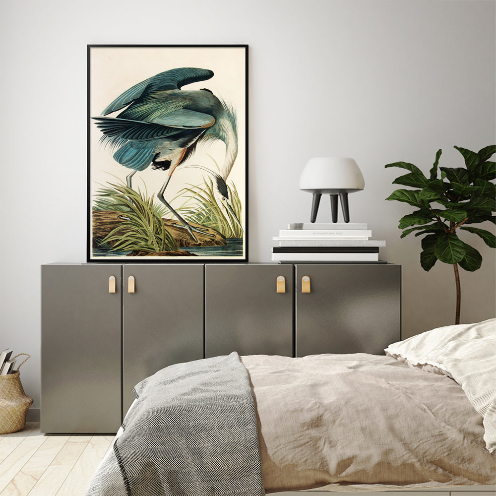 50cmx70cm Great Blue Heron By John James Audubon Black Frame Canvas Wall Art Tristar Online