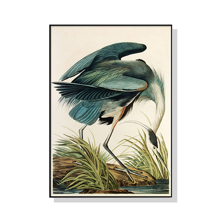 60cmx90cm Great Blue Heron By John James Audubon Black Frame Canvas Wall Art Tristar Online