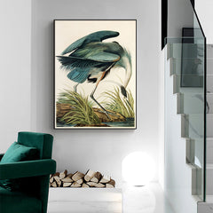 60cmx90cm Great Blue Heron By John James Audubon Black Frame Canvas Wall Art Tristar Online