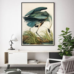 60cmx90cm Great Blue Heron By John James Audubon Black Frame Canvas Wall Art Tristar Online