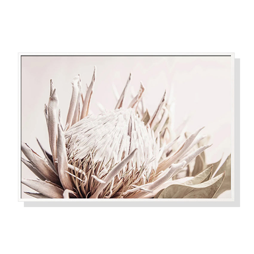 60cmx90cm Pure Protea II White Frame Canvas Wall Art Tristar Online