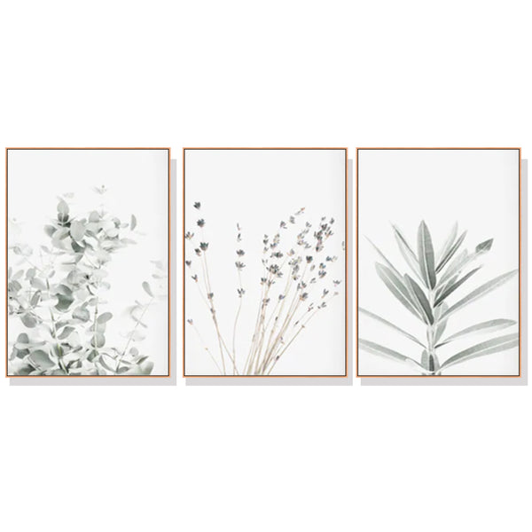 40cmx60cm Lavender Eucalyptus 3 Sets Wood Frame Canvas Wall Art Tristar Online