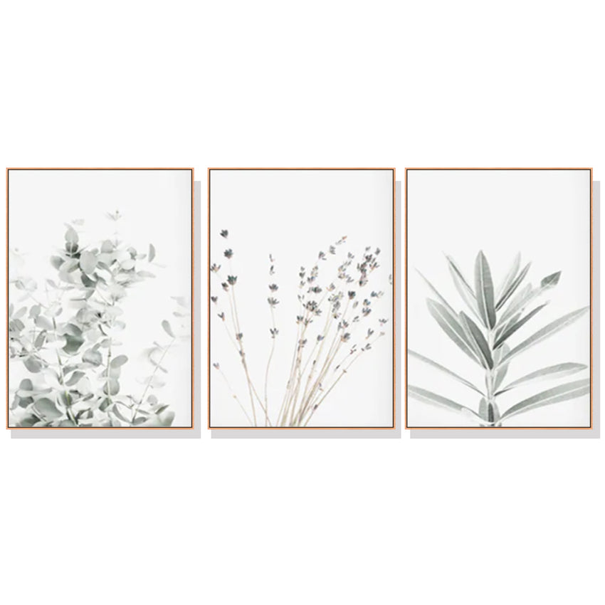 60cmx90cm Lavender Eucalyptus 3 Sets Wood Frame Canvas Wall Art Tristar Online