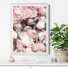 50cmx70cm Peony White Frame Canvas Wall Art Tristar Online