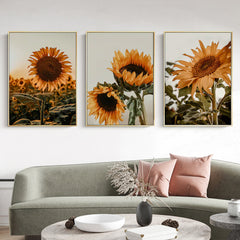 40cmx60cm Sunflower 3 Sets Gold Frame Canvas Wall Art Tristar Online