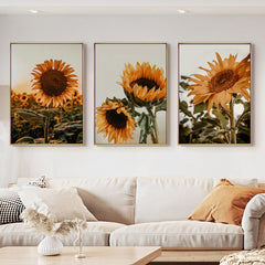 40cmx60cm Sunflower 3 Sets Gold Frame Canvas Wall Art Tristar Online