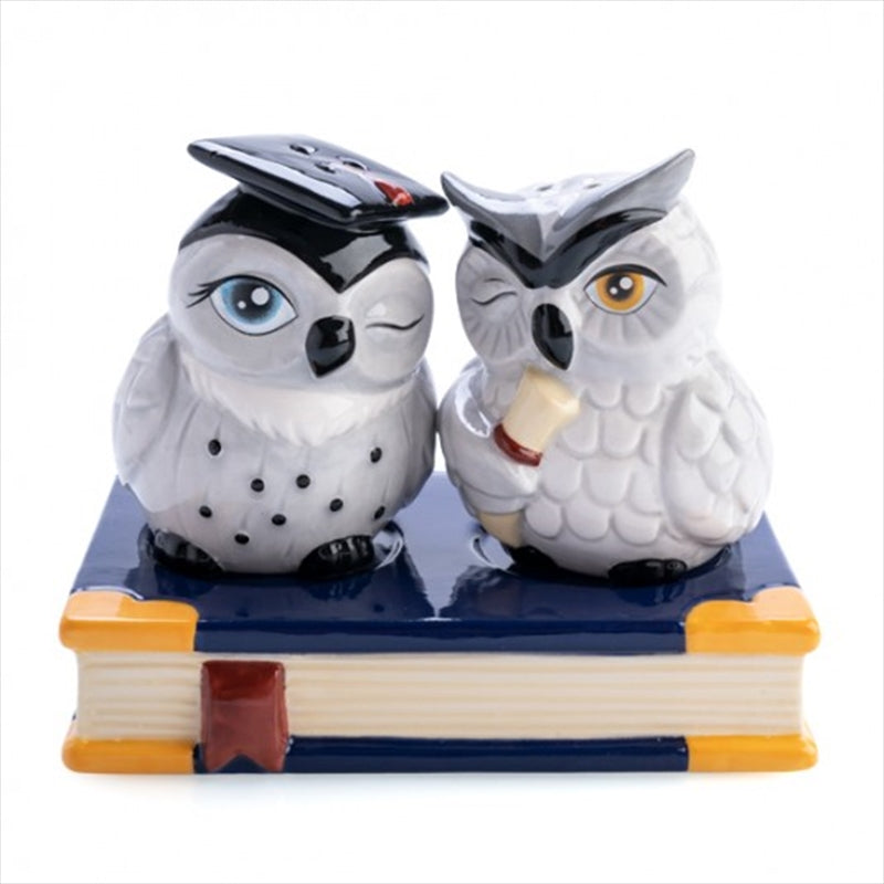 Owl Salt and Pepper Set Tristar Online