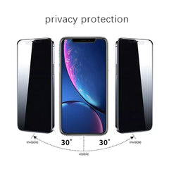 VOCTUS iPhone 14 Pro Privacy Tempered Glass Screen Protector 2Pcs (Box) VT-SP-110-DW Tristar Online
