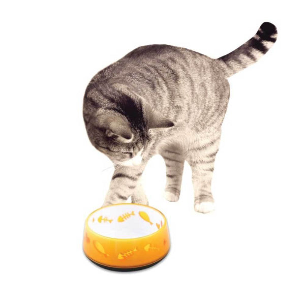 300ml Cat Bowl Orange Love - AFP Kitten Pet Food Water Feeding Anti Slip Dish Tristar Online