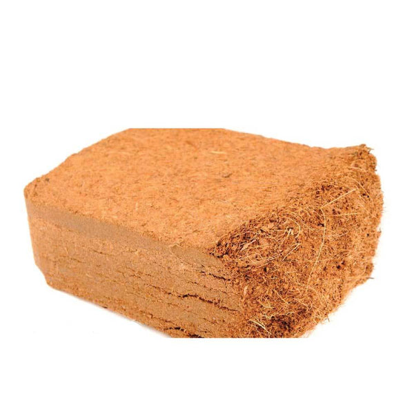 650g Coco Brick Premium Coir Peat Organic Plant Growth Medium Husk 9L Nutrifield Tristar Online