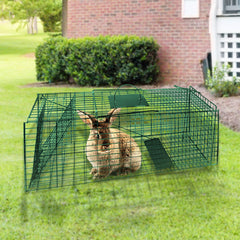 Klika Humane Live Animal Trap Possum Rat Rabbit Hare Catcher Folding Cage Tristar Online