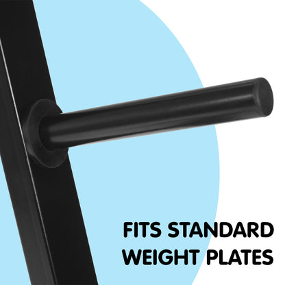 Powertrain Weight Plates Storage Home Gym Rack Tristar Online