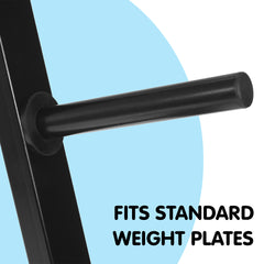 Powertrain Weight Plates Storage Home Gym Rack Tristar Online