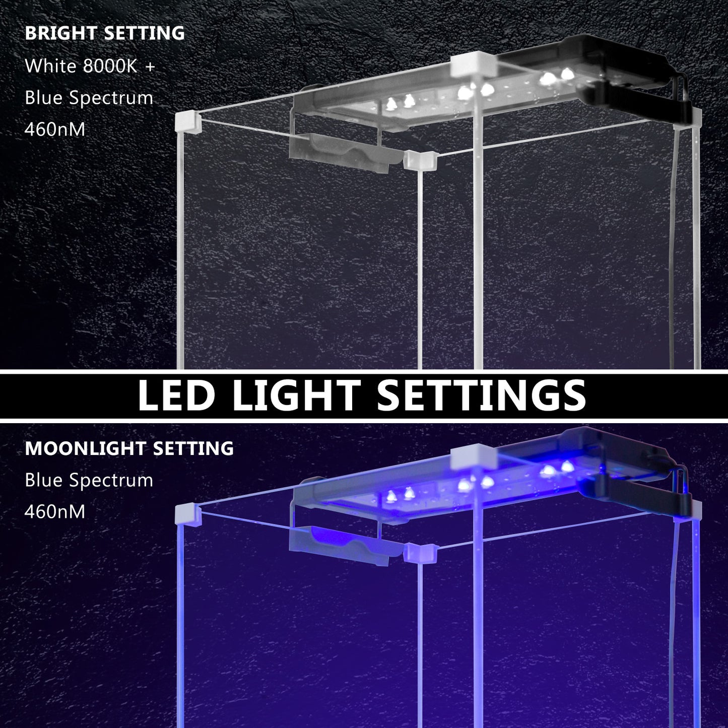 Dynamic Power 6W Aquarium Blue White LED Light for Tank 30-50cm Tristar Online