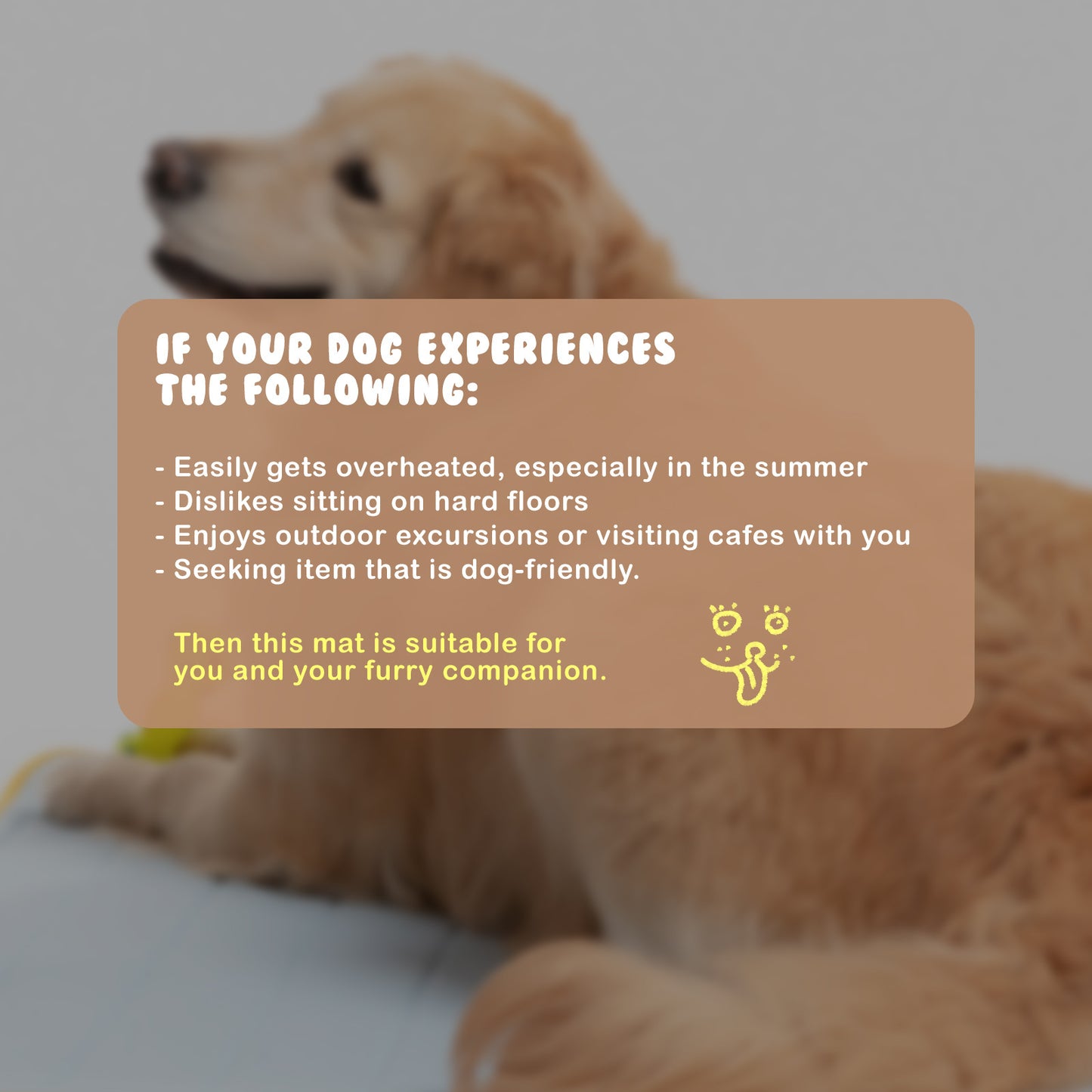 Banhamsisun L Blue Pet Dog Cooling Mat Non-Slip Travel Roll Up Cool Pad Bed Outdoor Tristar Online