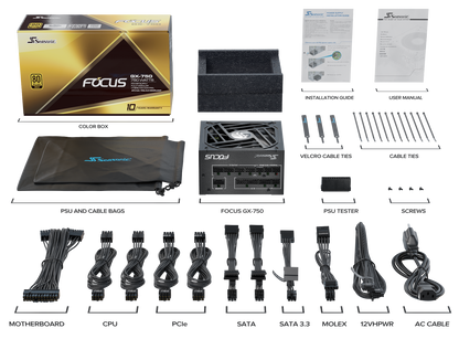 Seasonic FOCUS GX-750 ATX 3.0 750W Gold PSU (SSR-750FX3) Tristar Online