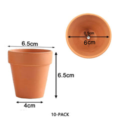 10x 6cm Flower Pot Pots Clay Ceramic Plant Drain Hole Succulent Cactus Nursery Planter Tristar Online