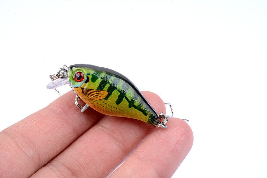 6x 4.3cm Popper Crank Bait Fishing Lure Lures Surface Tackle Saltwater Tristar Online
