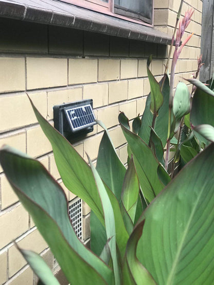 Solar Step Lights Tristar Online