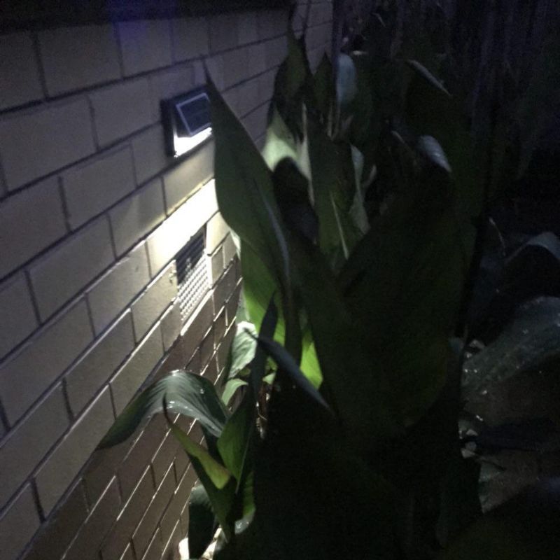 Solar Step Lights Tristar Online