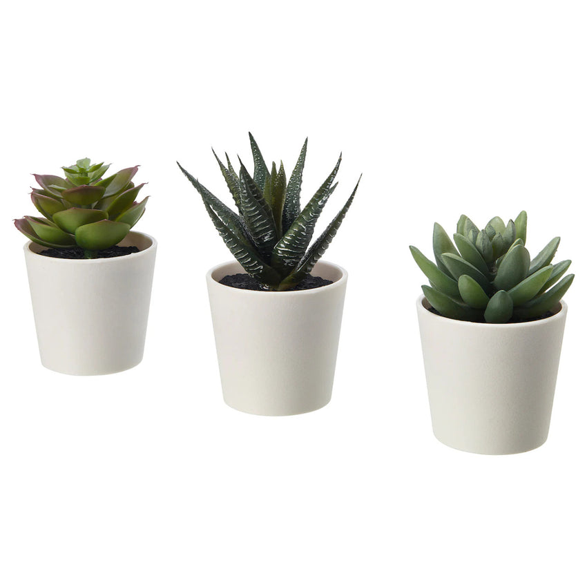 3 Pack of Artificial Succulent Potted Plants in White Plastic 6cm Pot Interior Decoration Tristar Online